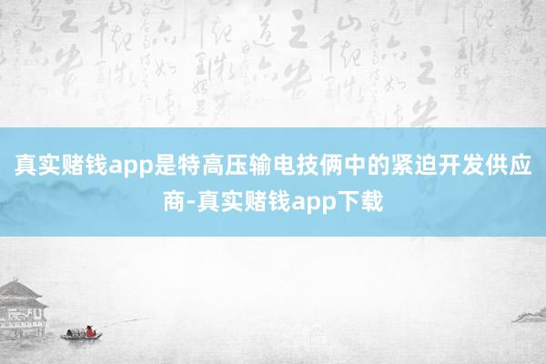 真实赌钱app是特高压输电技俩中的紧迫开发供应商-真实赌钱app下载