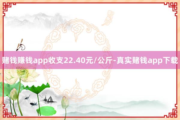 赌钱赚钱app收支22.40元/公斤-真实赌钱app下载