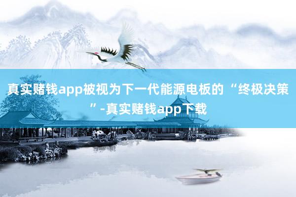 真实赌钱app被视为下一代能源电板的 “终极决策”-真实赌钱app下载