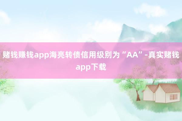 赌钱赚钱app海亮转债信用级别为“AA”-真实赌钱app下载