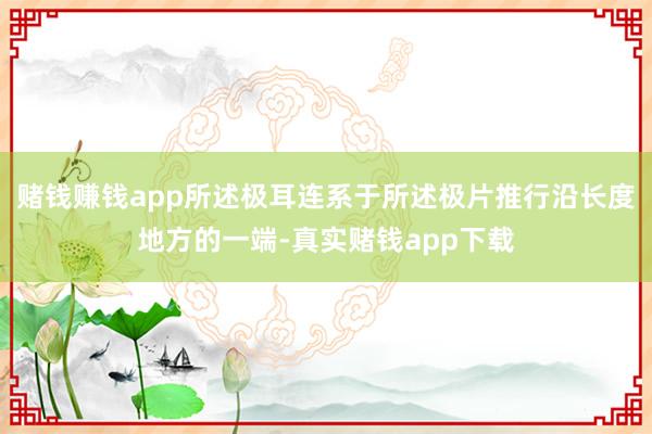 赌钱赚钱app所述极耳连系于所述极片推行沿长度地方的一端-真实赌钱app下载