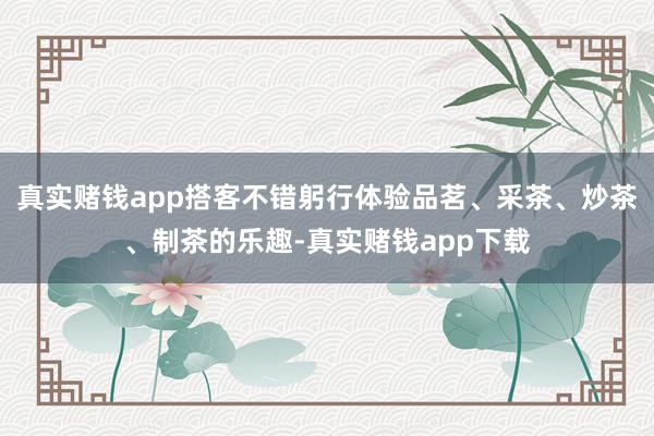 真实赌钱app搭客不错躬行体验品茗、采茶、炒茶、制茶的乐趣-真实赌钱app下载