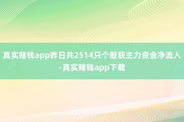 真实赌钱app昨日共2514只个股获主力资金净流入-真实赌钱app下载
