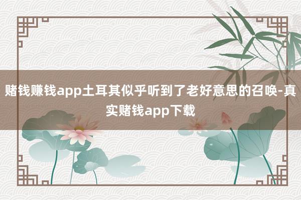 赌钱赚钱app土耳其似乎听到了老好意思的召唤-真实赌钱app下载