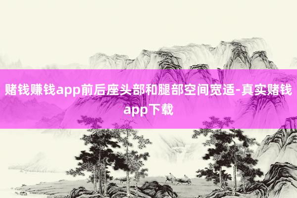 赌钱赚钱app前后座头部和腿部空间宽适-真实赌钱app下载