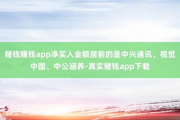 赌钱赚钱app净买入金额居前的是中兴通讯、视觉中国、中公涵养-真实赌钱app下载