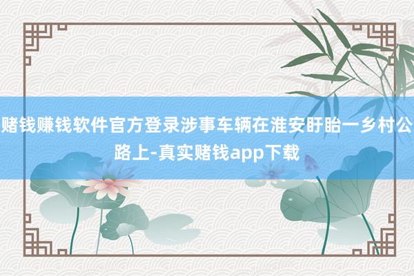 赌钱赚钱软件官方登录涉事车辆在淮安盱眙一乡村公路上-真实赌钱app下载
