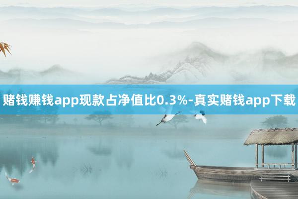 赌钱赚钱app现款占净值比0.3%-真实赌钱app下载