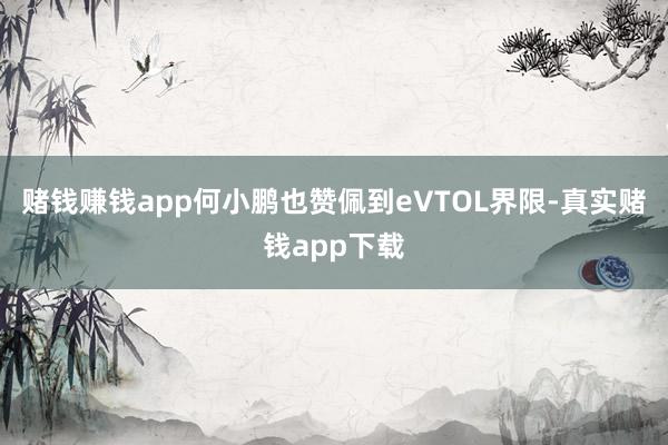 赌钱赚钱app何小鹏也赞佩到eVTOL界限-真实赌钱app下载