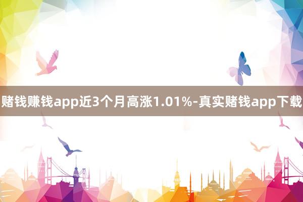 赌钱赚钱app近3个月高涨1.01%-真实赌钱app下载
