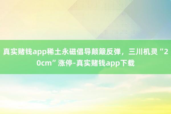 真实赌钱app稀土永磁倡导颠簸反弹，三川机灵“20cm”涨停-真实赌钱app下载