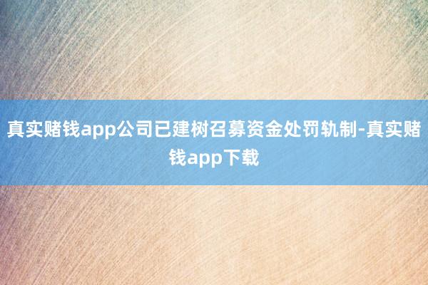 真实赌钱app公司已建树召募资金处罚轨制-真实赌钱app下载