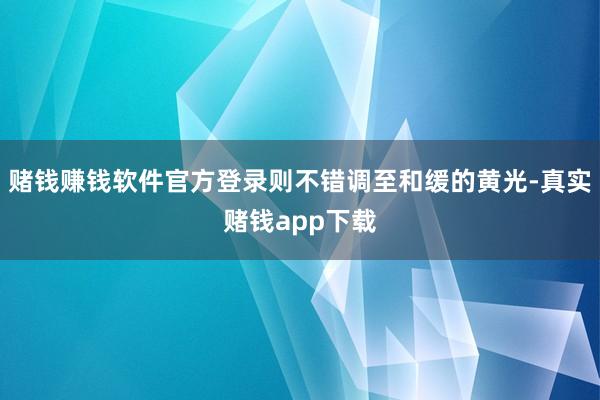 赌钱赚钱软件官方登录则不错调至和缓的黄光-真实赌钱app下载