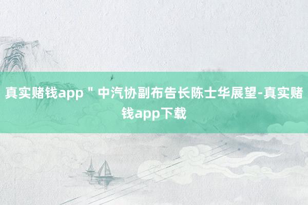 真实赌钱app＂中汽协副布告长陈士华展望-真实赌钱app下载