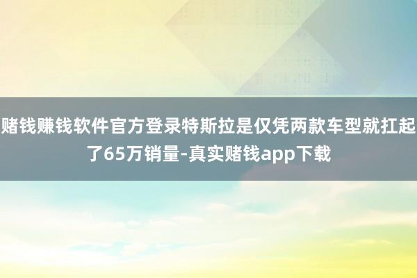 赌钱赚钱软件官方登录特斯拉是仅凭两款车型就扛起了65万销量-真实赌钱app下载