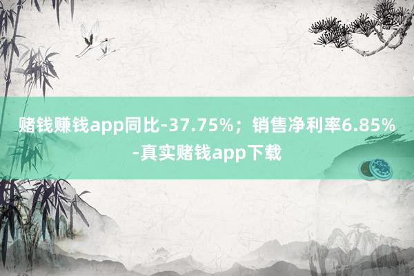 赌钱赚钱app同比-37.75%；销售净利率6.85%-真实赌钱app下载