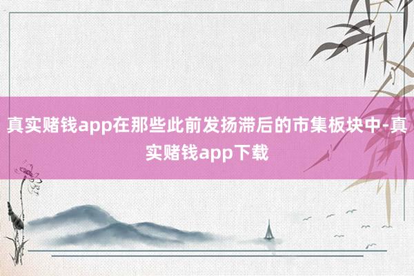 真实赌钱app在那些此前发扬滞后的市集板块中-真实赌钱app下载