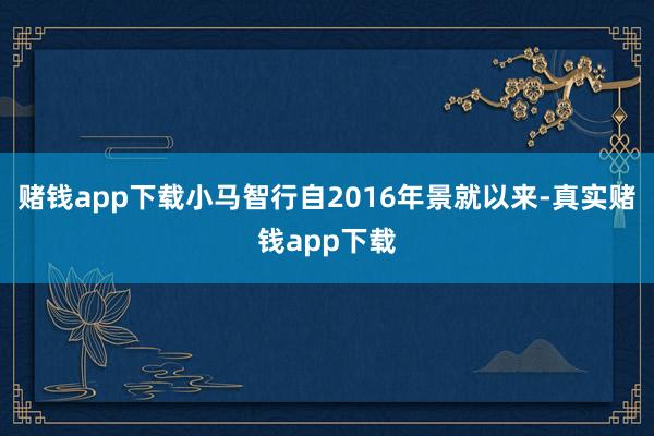 赌钱app下载小马智行自2016年景就以来-真实赌钱app下载