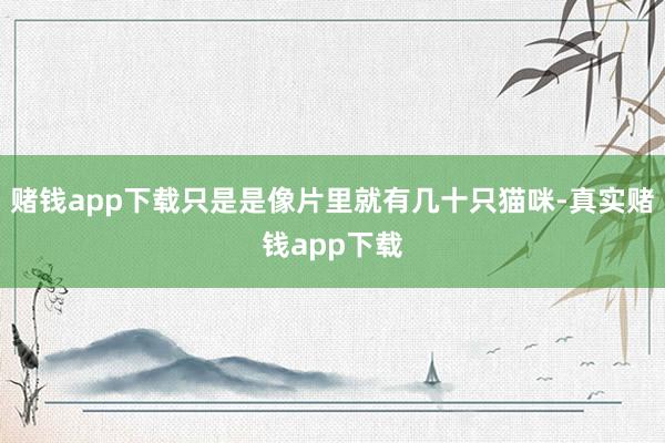 赌钱app下载只是是像片里就有几十只猫咪-真实赌钱app下载