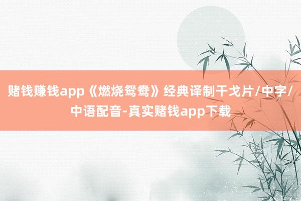赌钱赚钱app《燃烧鸳鸯》经典译制干戈片/中字/中语配音-真实赌钱app下载