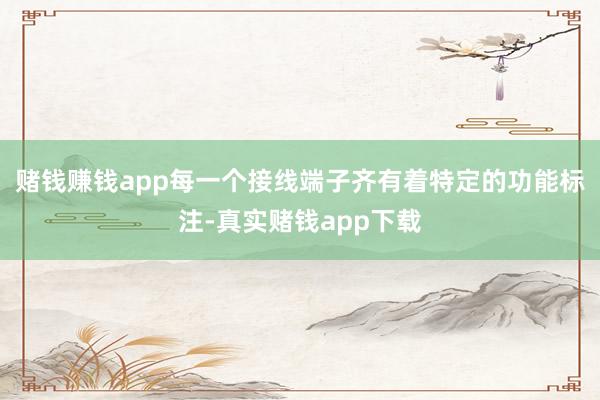 赌钱赚钱app每一个接线端子齐有着特定的功能标注-真实赌钱app下载