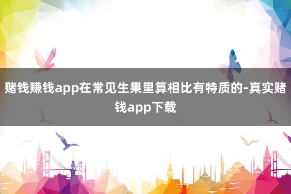 赌钱赚钱app在常见生果里算相比有特质的-真实赌钱app下载
