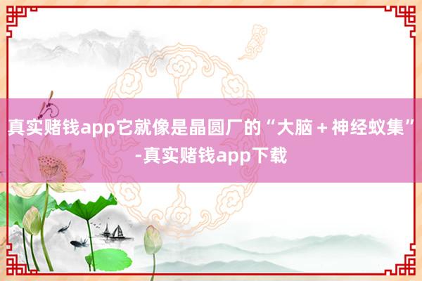 真实赌钱app它就像是晶圆厂的“大脑＋神经蚁集”-真实赌钱app下载