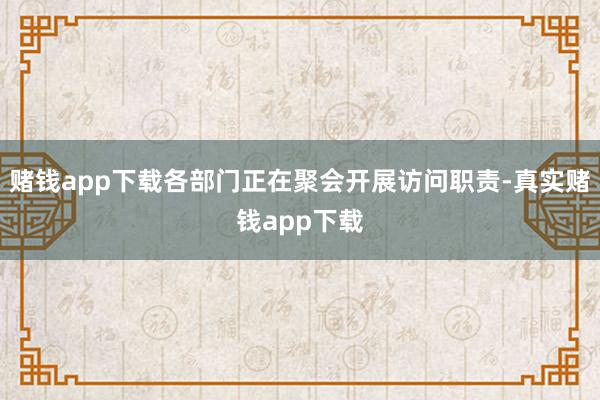 赌钱app下载各部门正在聚会开展访问职责-真实赌钱app下载