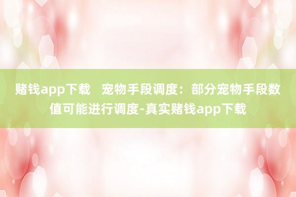 赌钱app下载   宠物手段调度：部分宠物手段数值可能进行调度-真实赌钱app下载