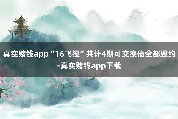 真实赌钱app“16飞投”共计4期可交换债全部毁约-真实赌钱app下载